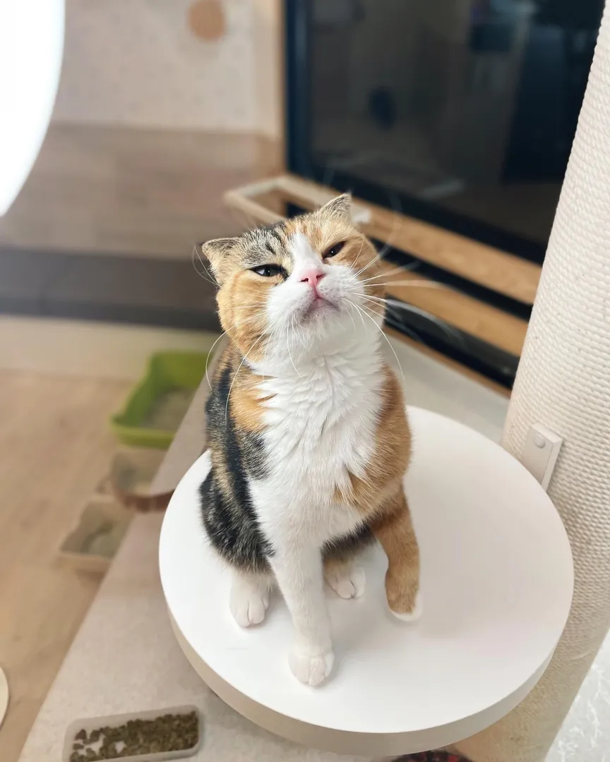 投稿の写真2