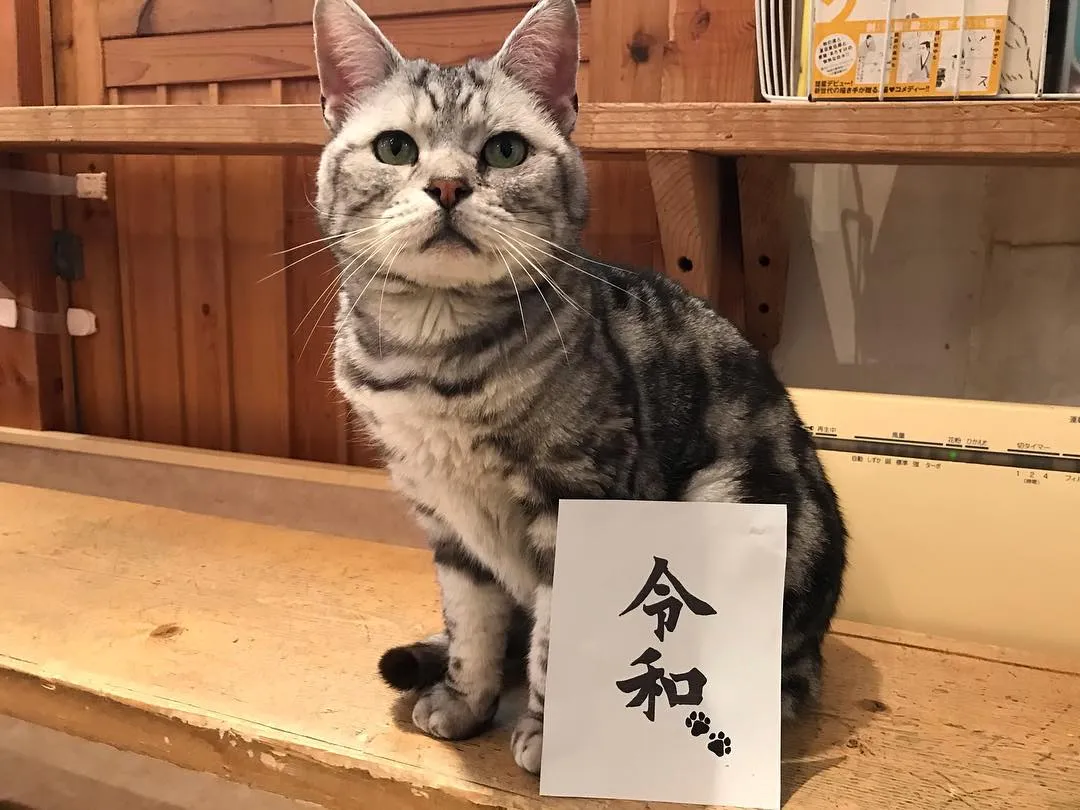 投稿の写真6