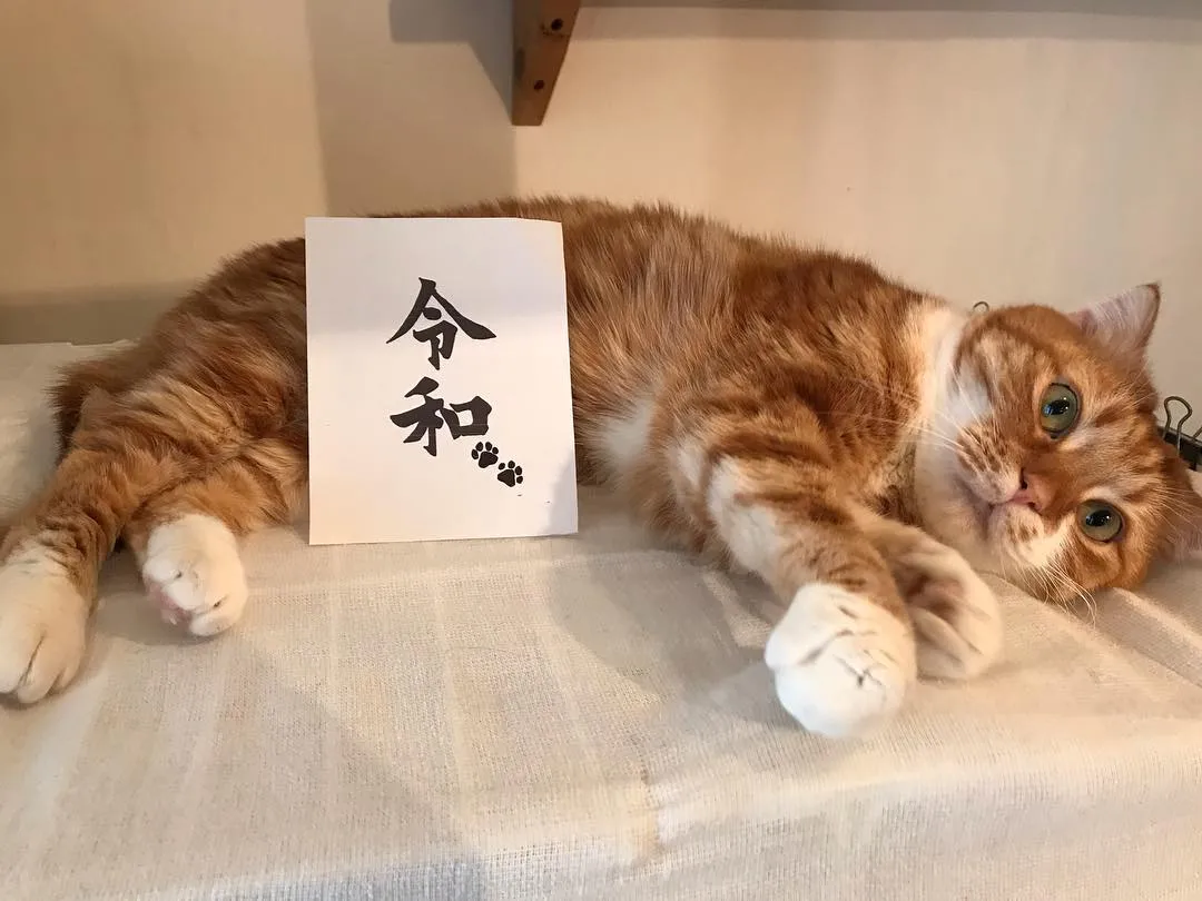 投稿の写真7