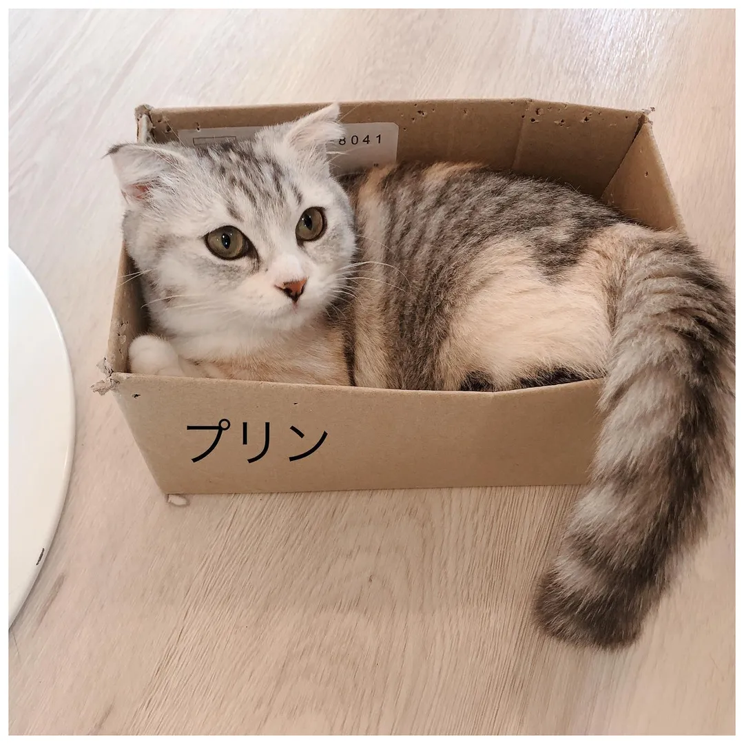 投稿の写真6