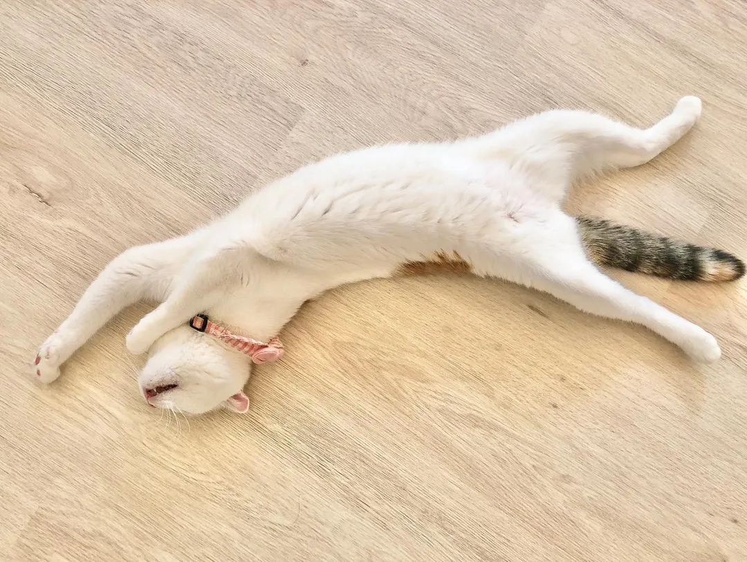投稿の写真3
