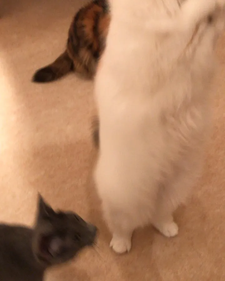 投稿の写真4