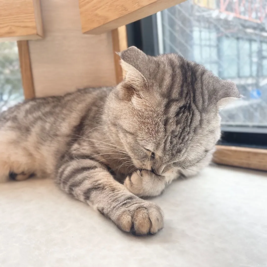 投稿の写真4