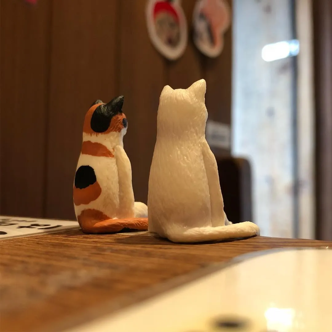 投稿の写真4