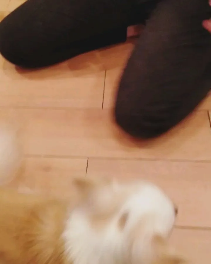 投稿の写真2