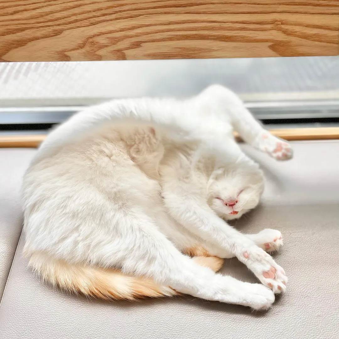 投稿の写真3