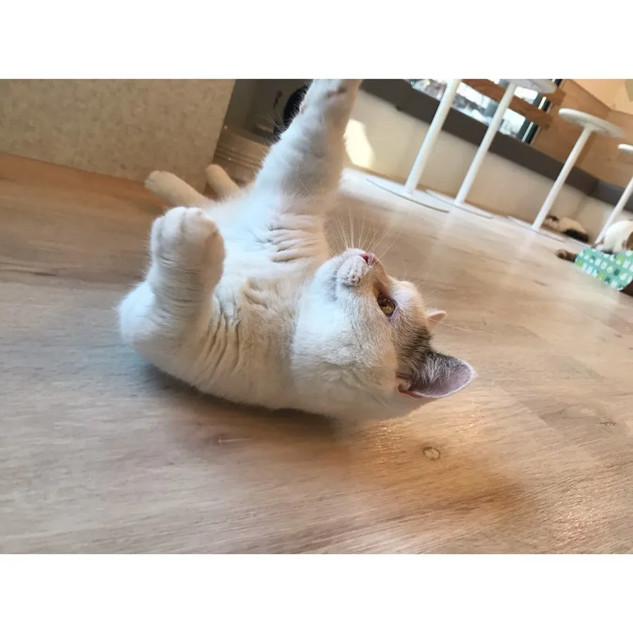 投稿の写真2
