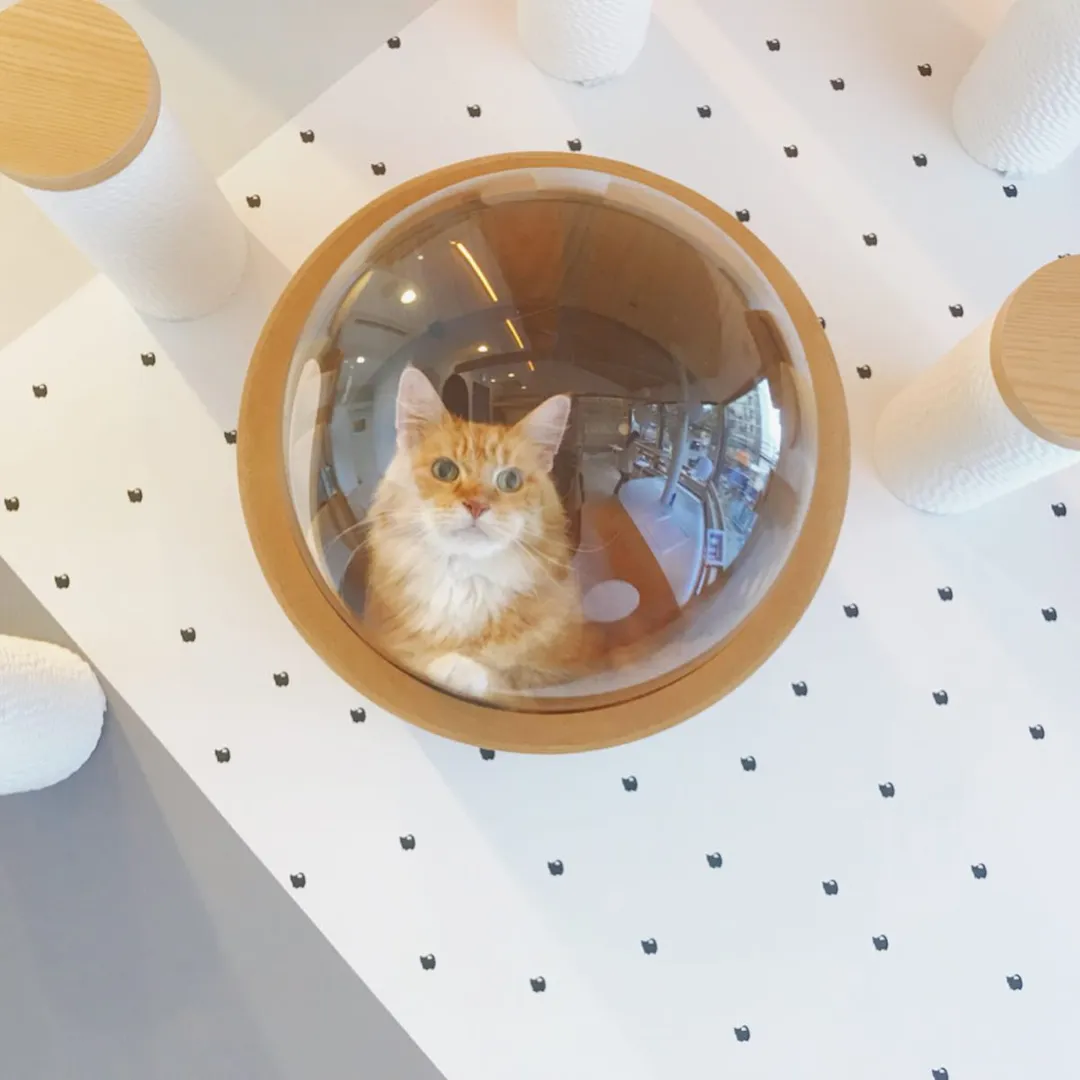 投稿の写真5