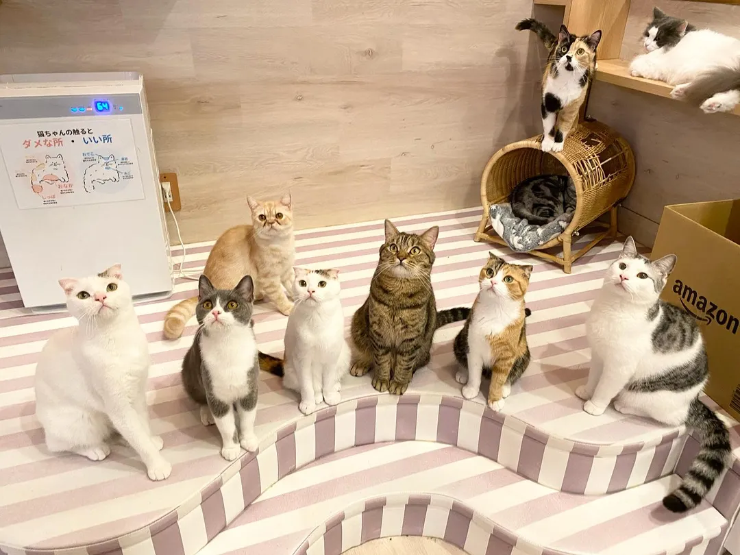 投稿の写真