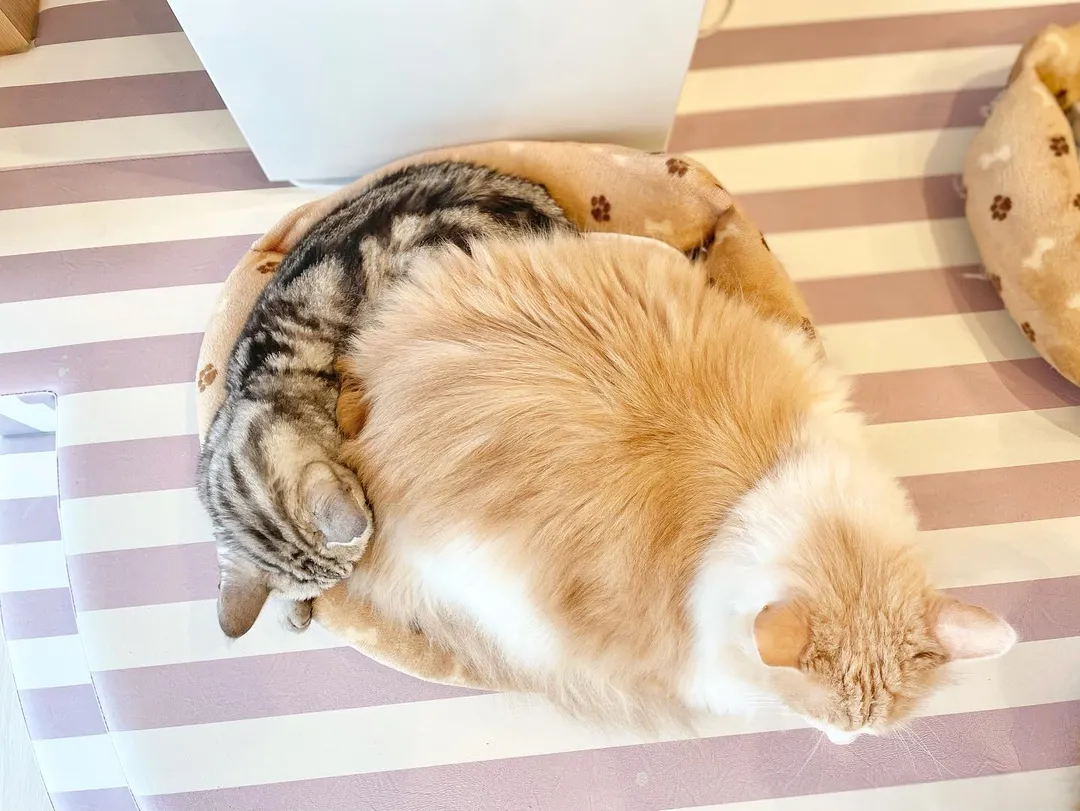 投稿の写真3