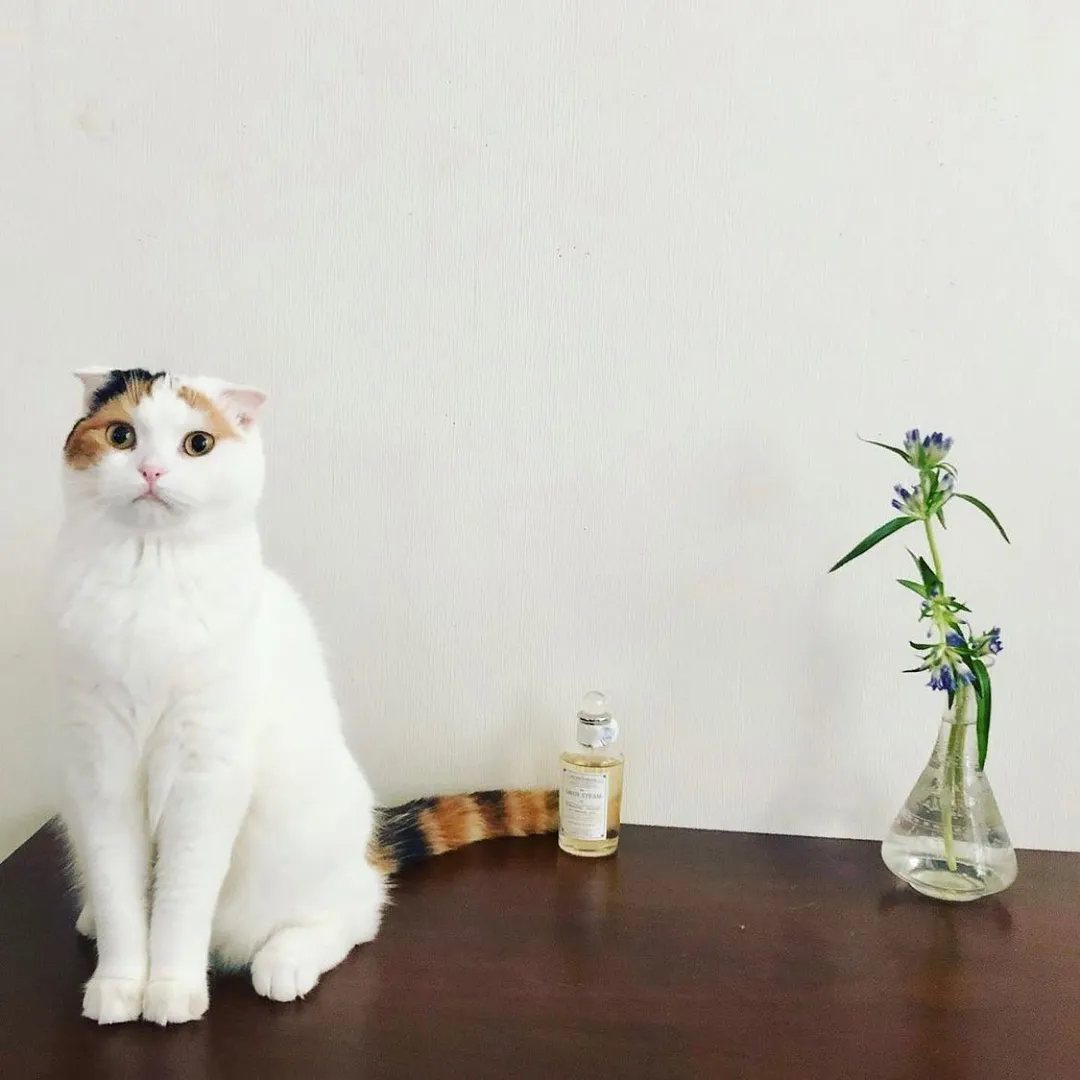 投稿の写真2