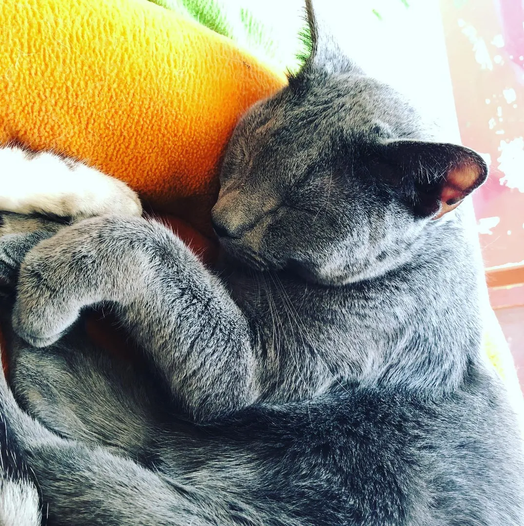 投稿の写真5