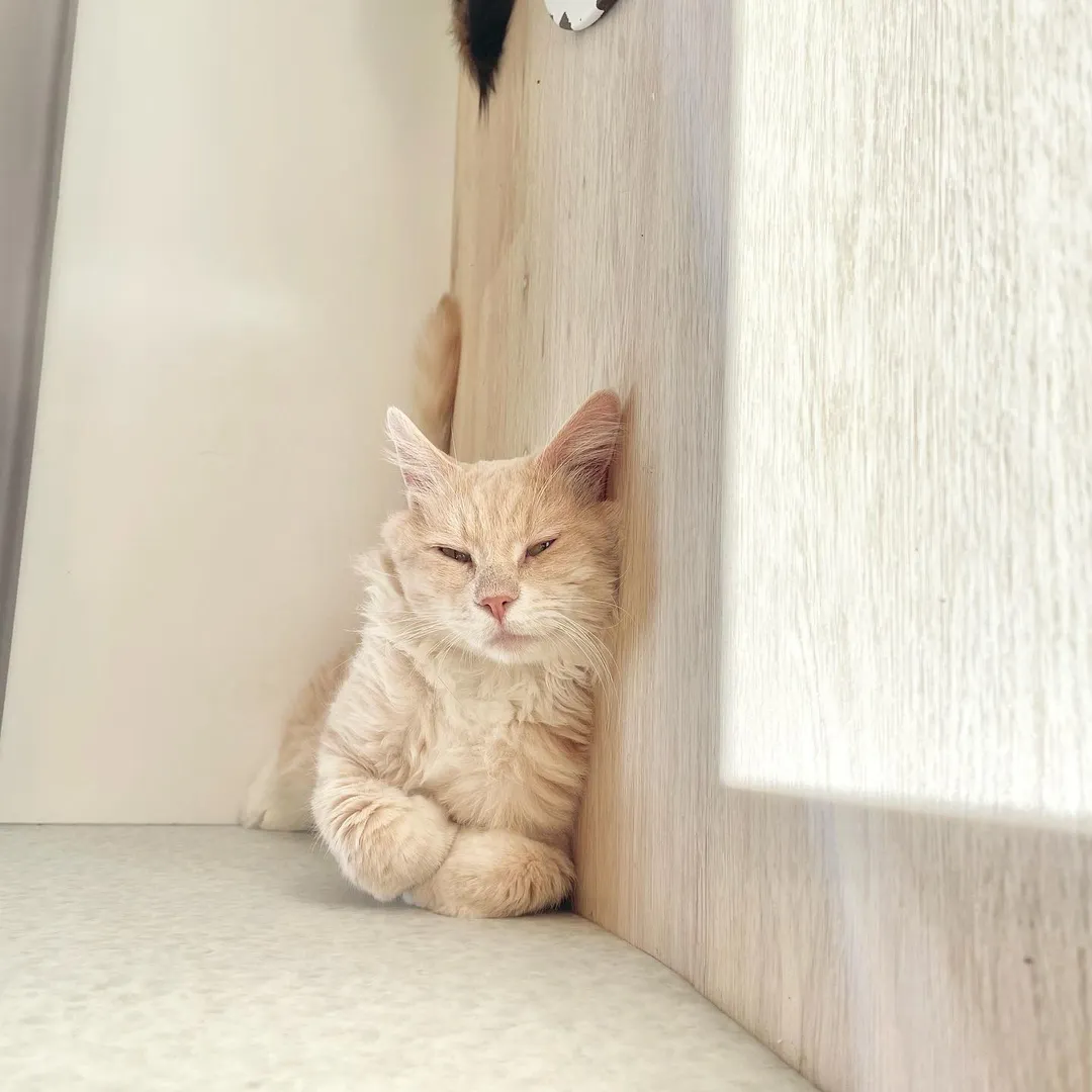 投稿の写真1