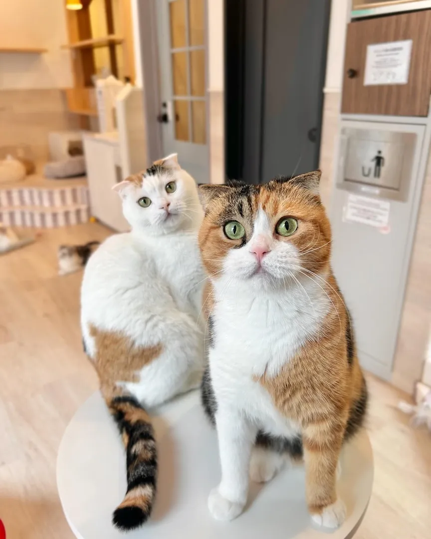 投稿の写真1