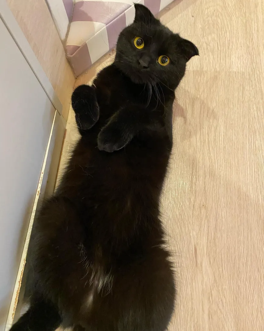 投稿の写真1