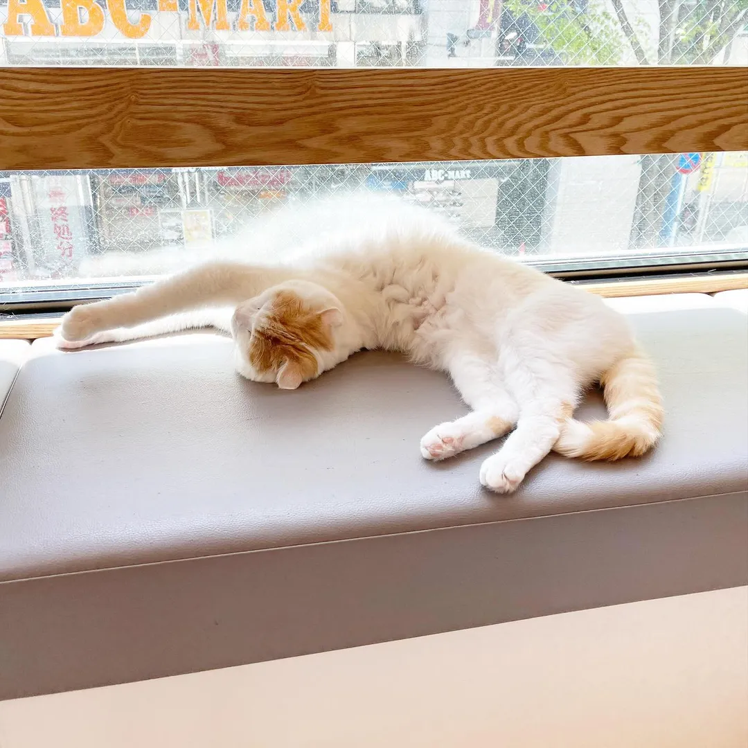 投稿の写真3