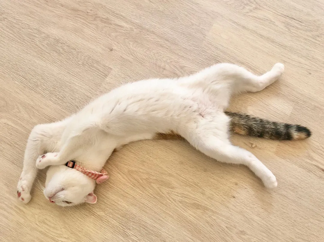 投稿の写真2