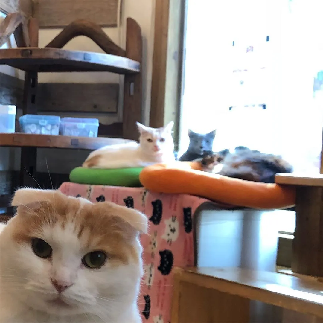 投稿の写真5