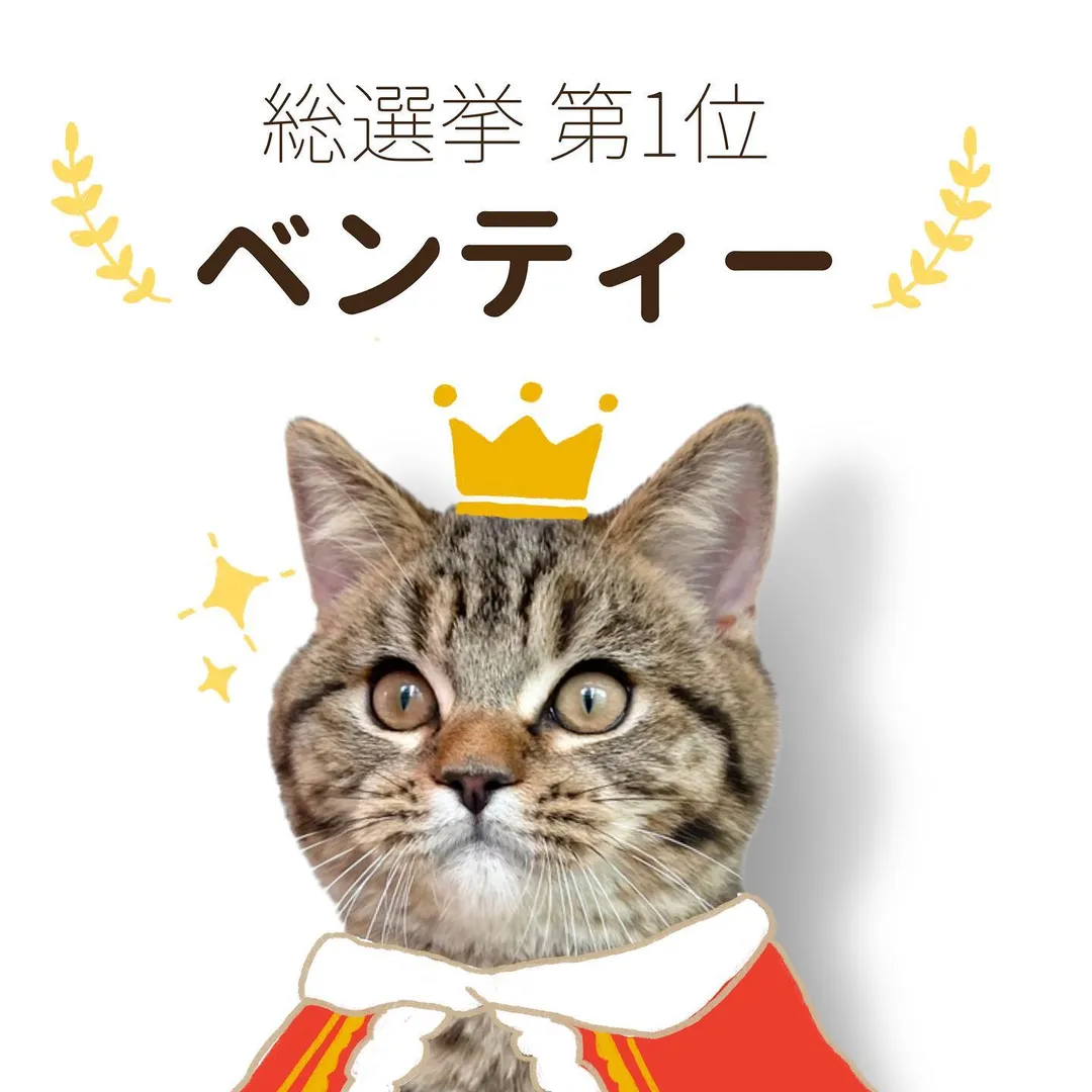 投稿の写真