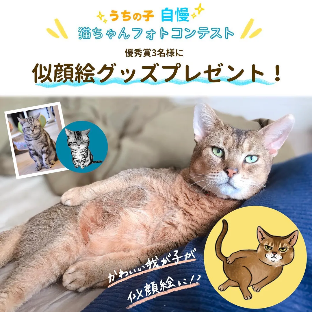 投稿の写真1