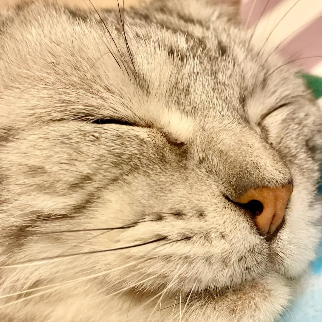 投稿の写真4