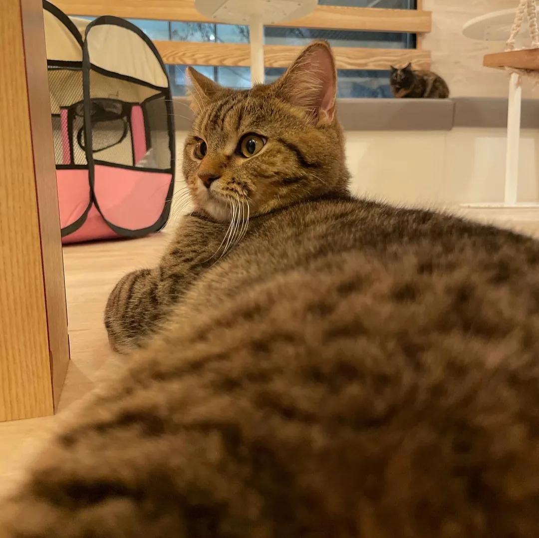 投稿の写真6