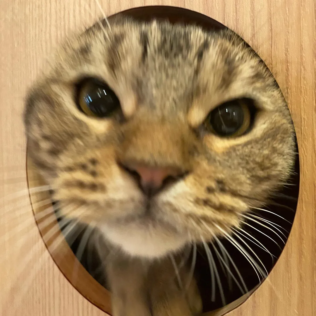 投稿の写真2