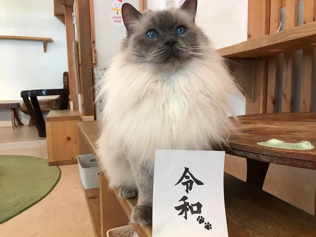 投稿の写真3