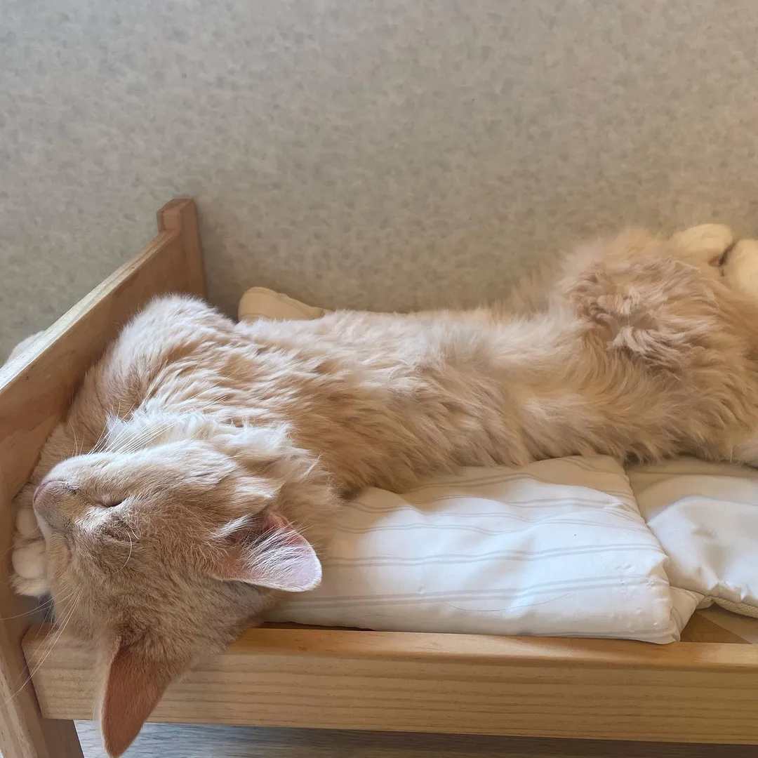 投稿の写真3