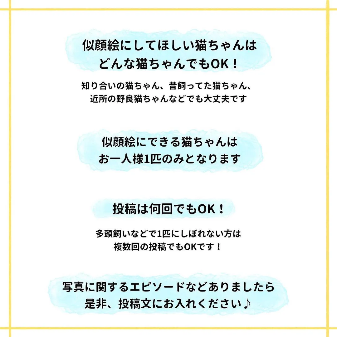 投稿の写真5
