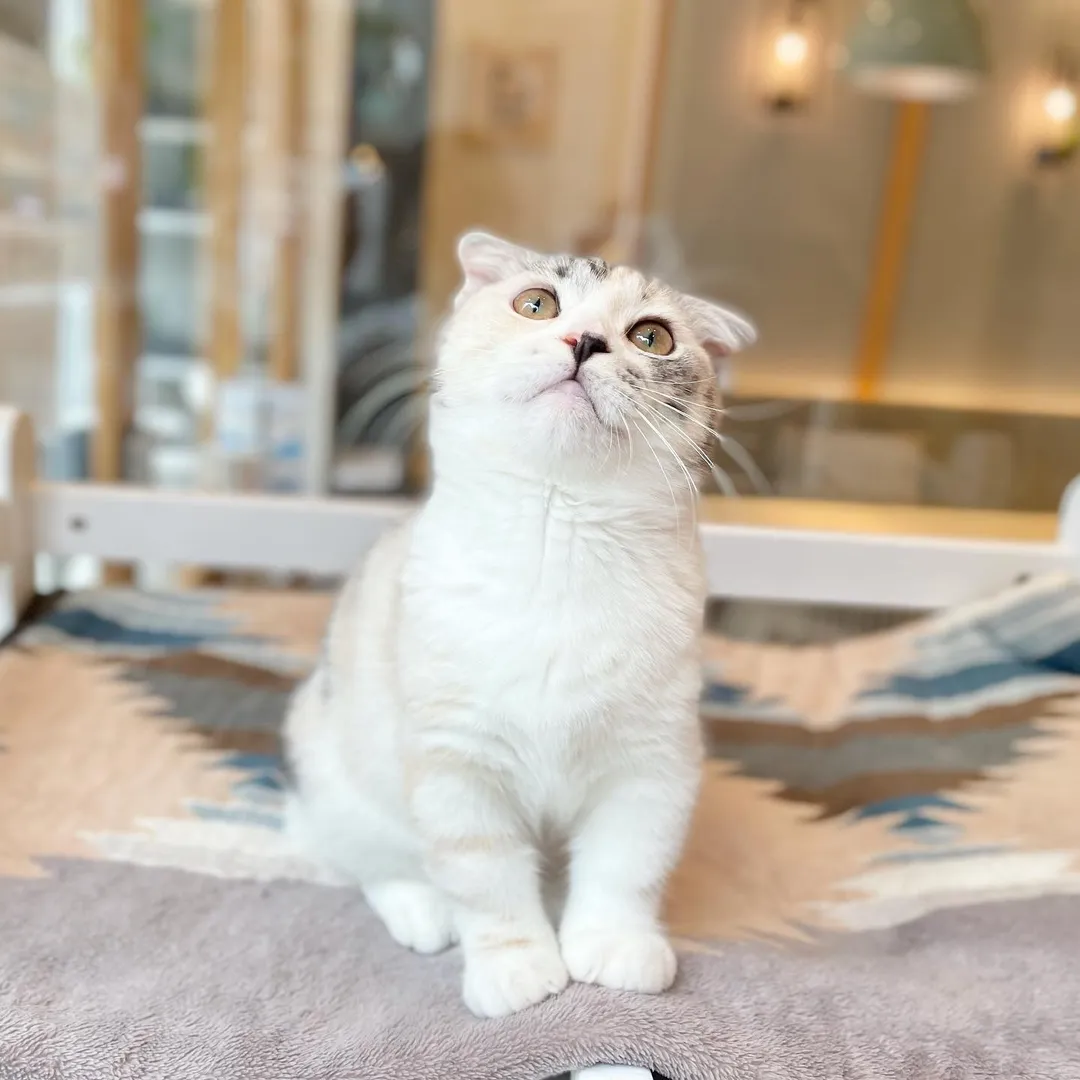 投稿の写真2