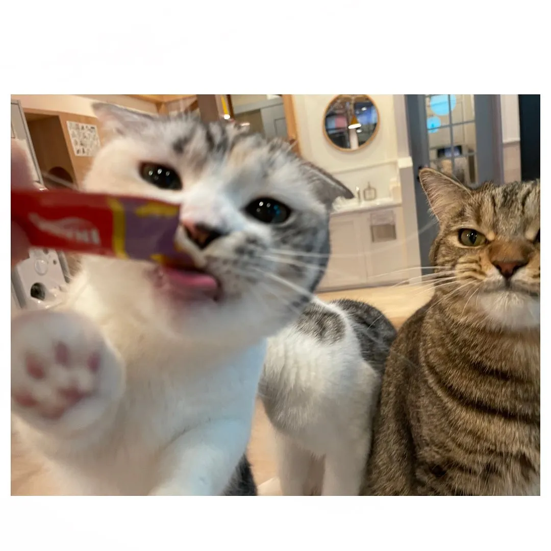 投稿の写真3