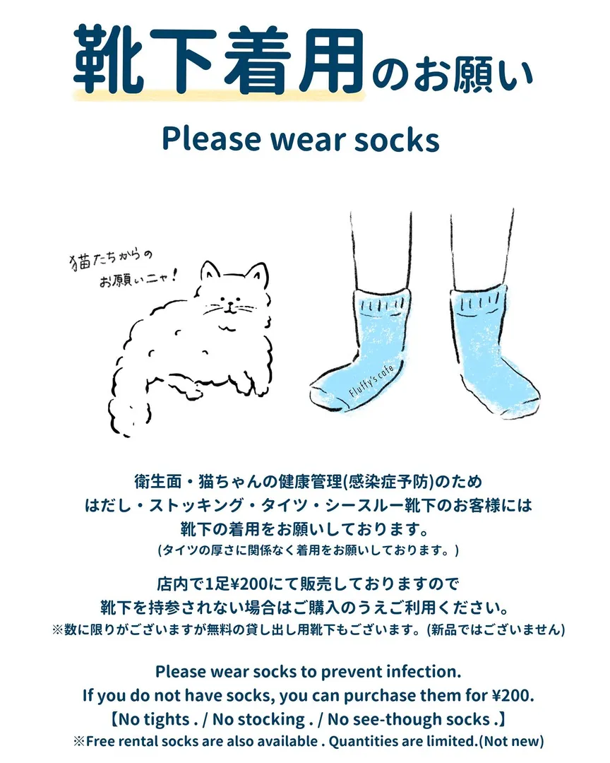 投稿の写真