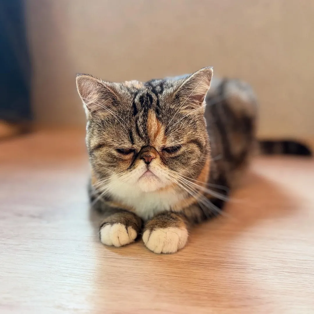 投稿の写真2
