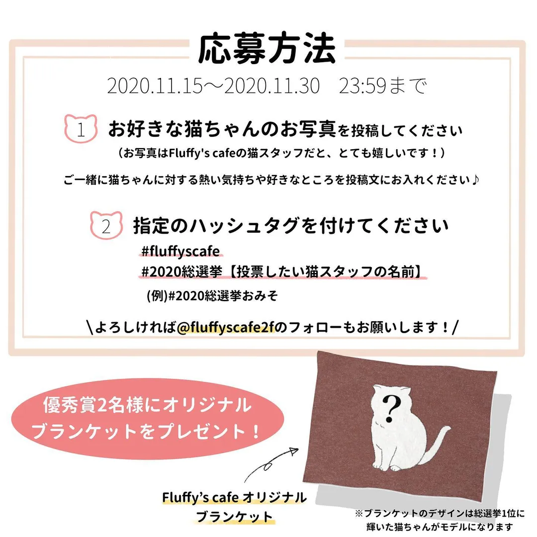 投稿の写真2