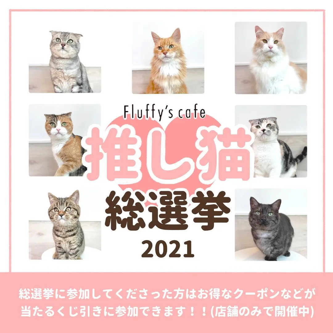 投稿の写真