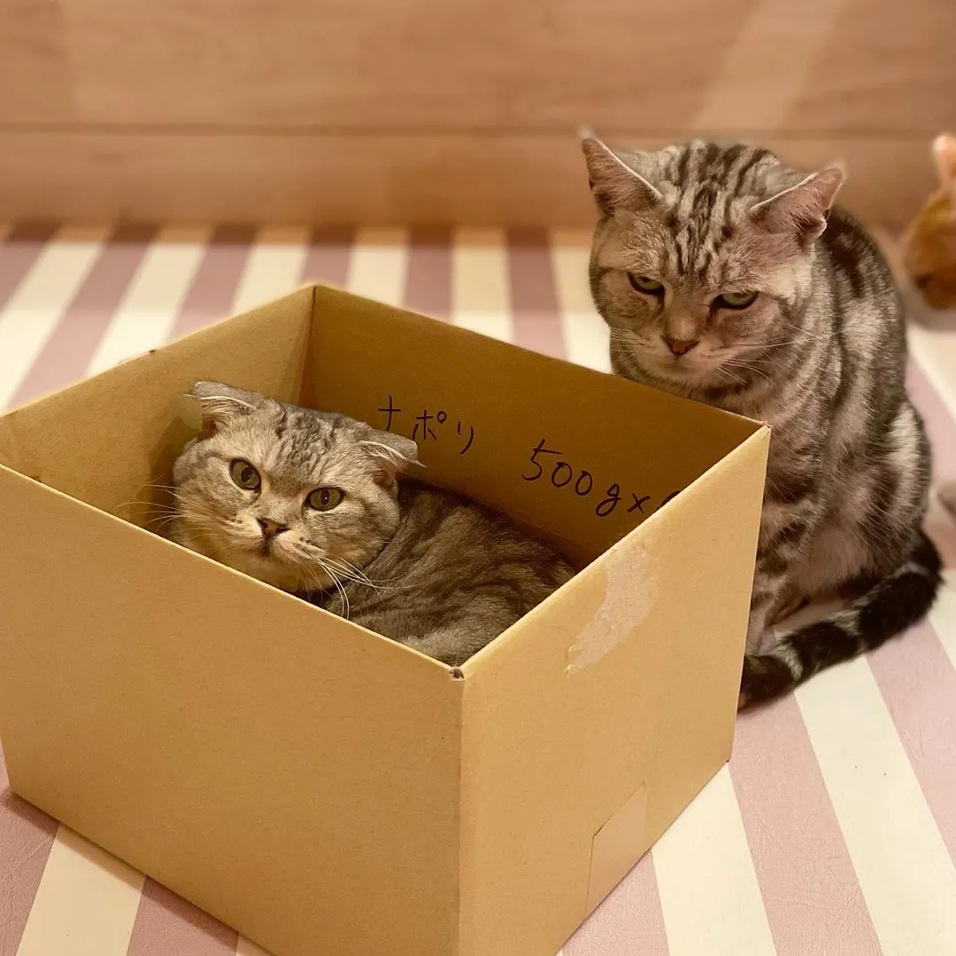 投稿の写真2