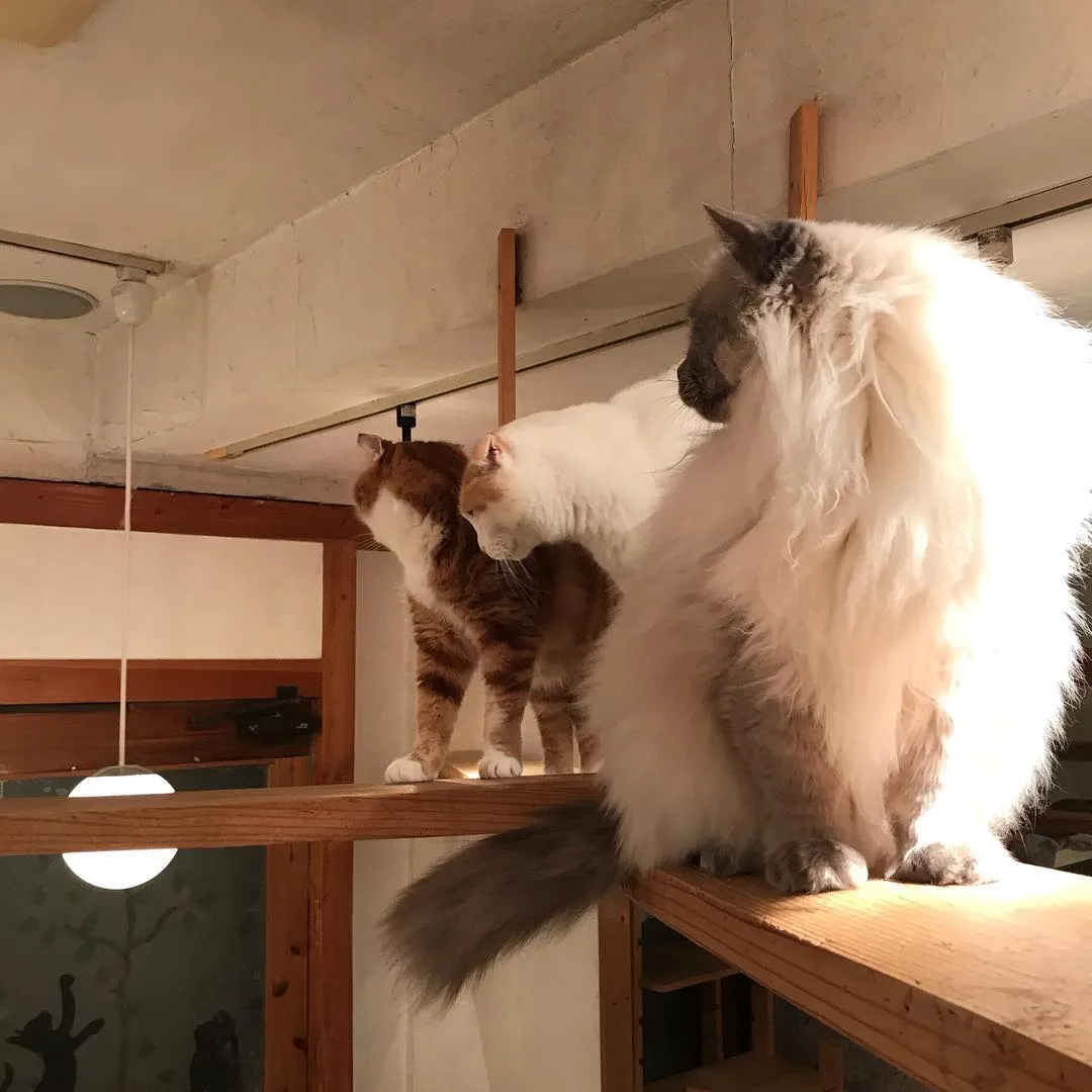 投稿の写真2