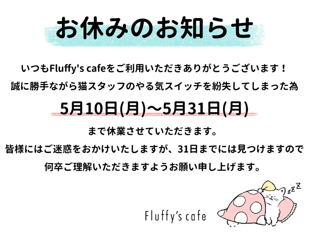 投稿の写真2