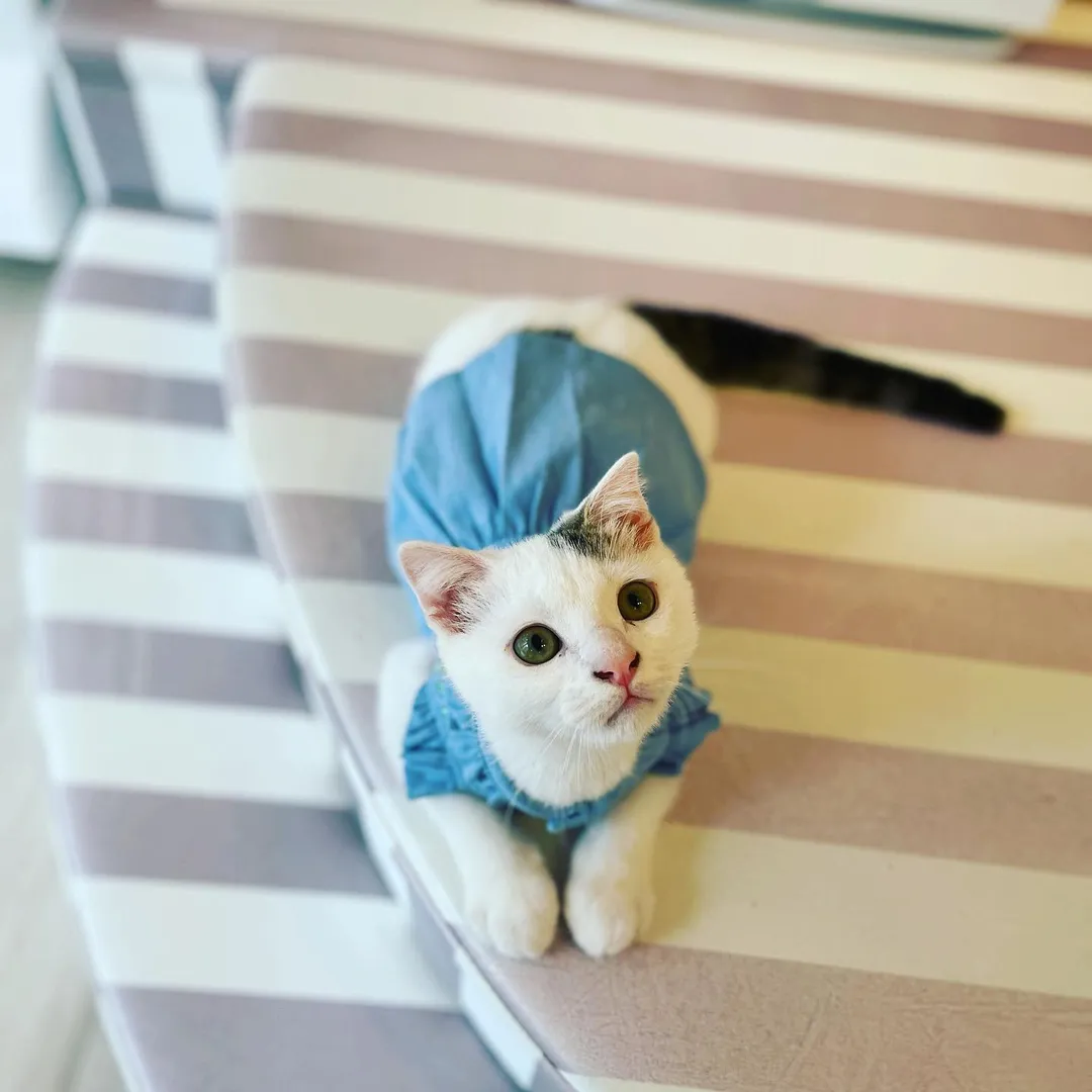 投稿の写真2
