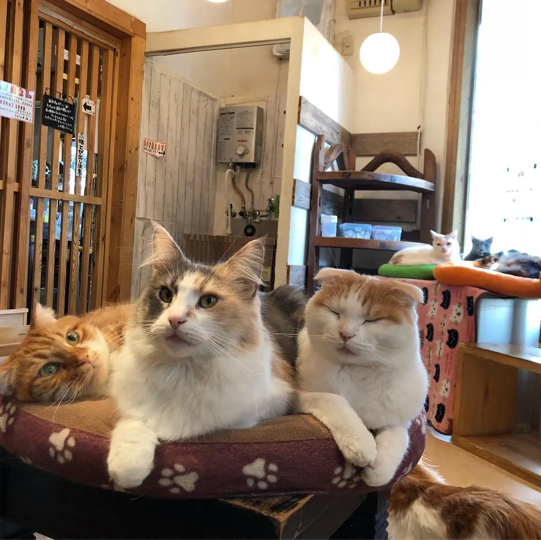 投稿の写真4