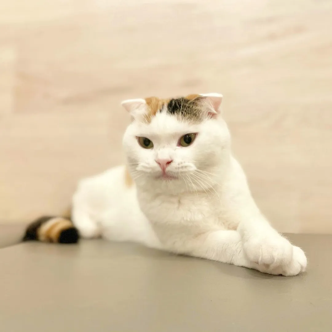 投稿の写真3