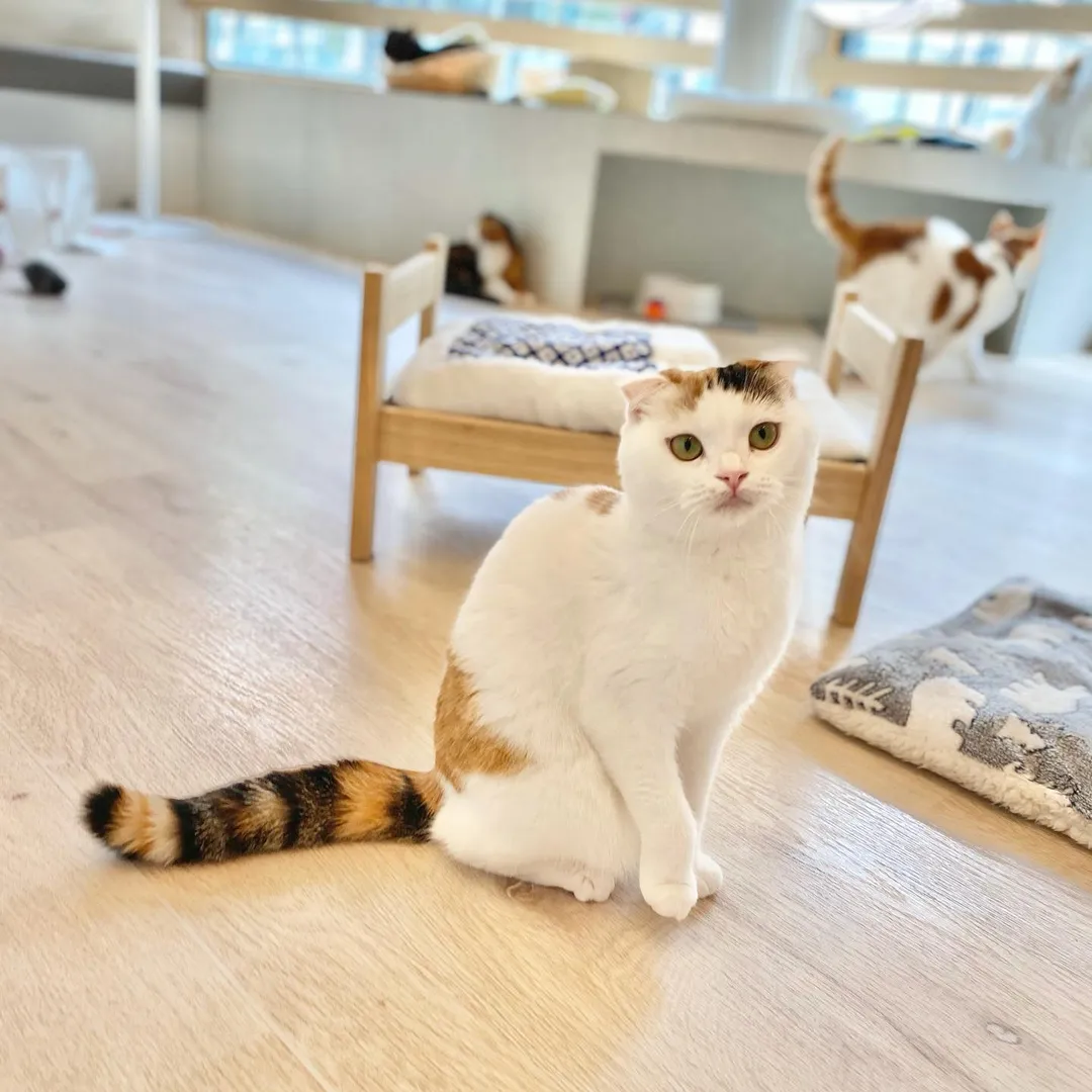 投稿の写真4
