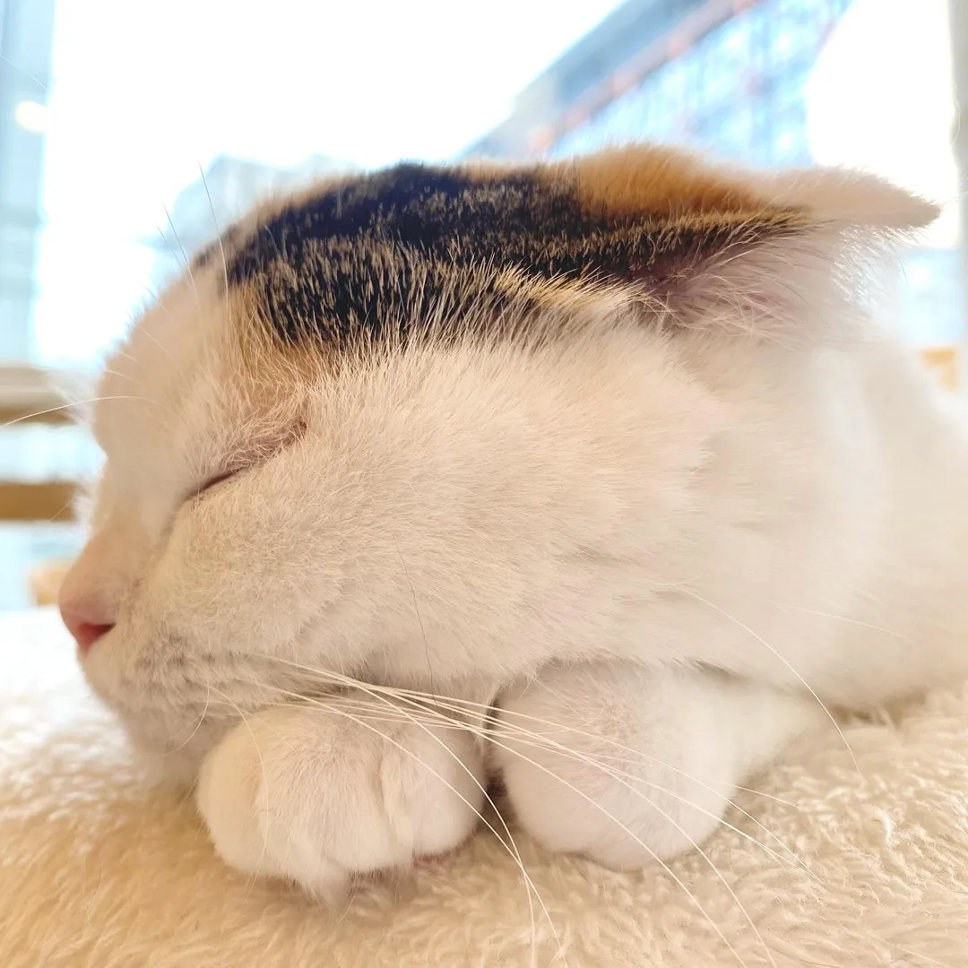 投稿の写真3