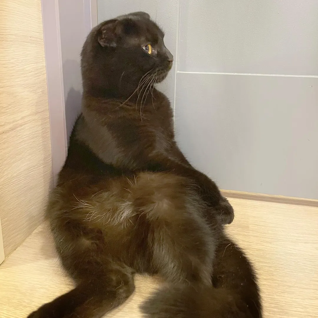 投稿の写真2