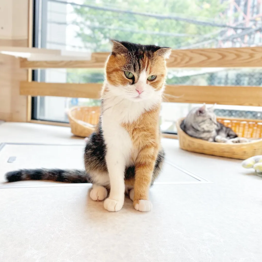 投稿の写真1