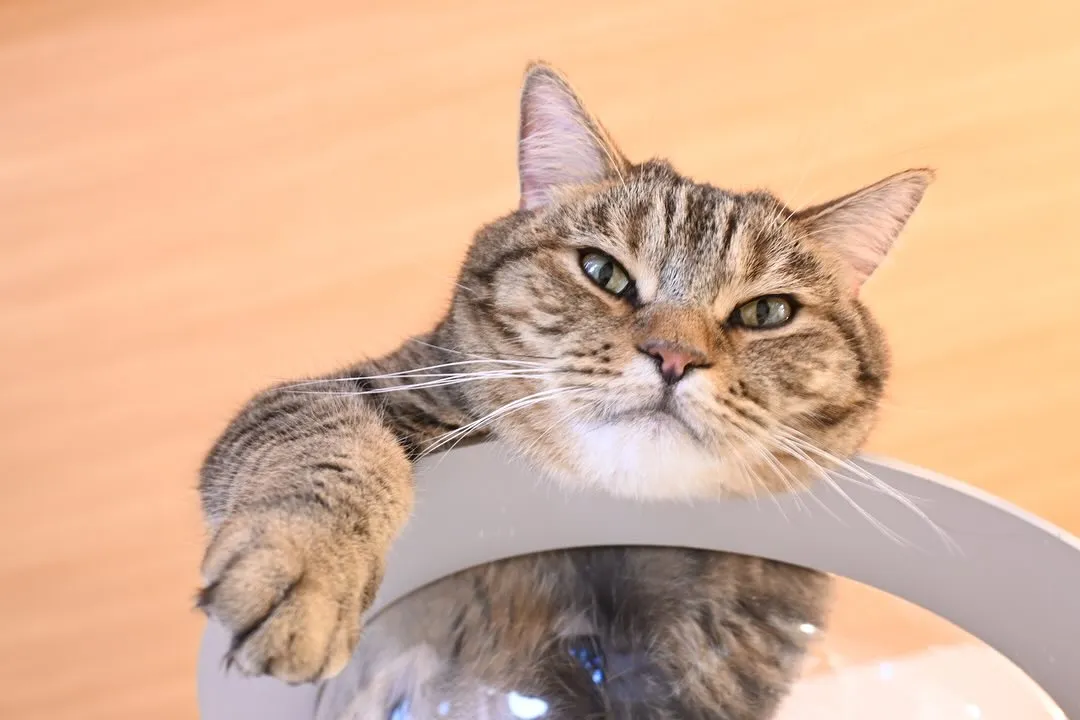 投稿の写真2