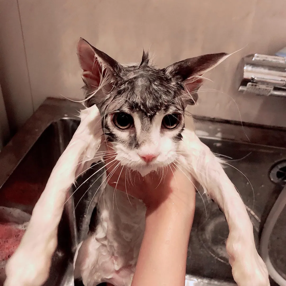 投稿の写真2