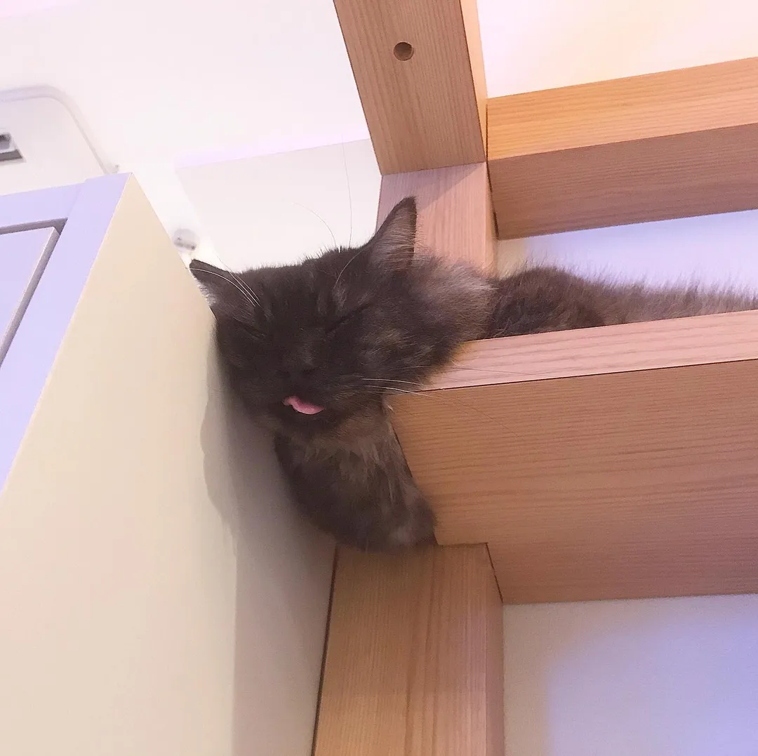 投稿の写真2