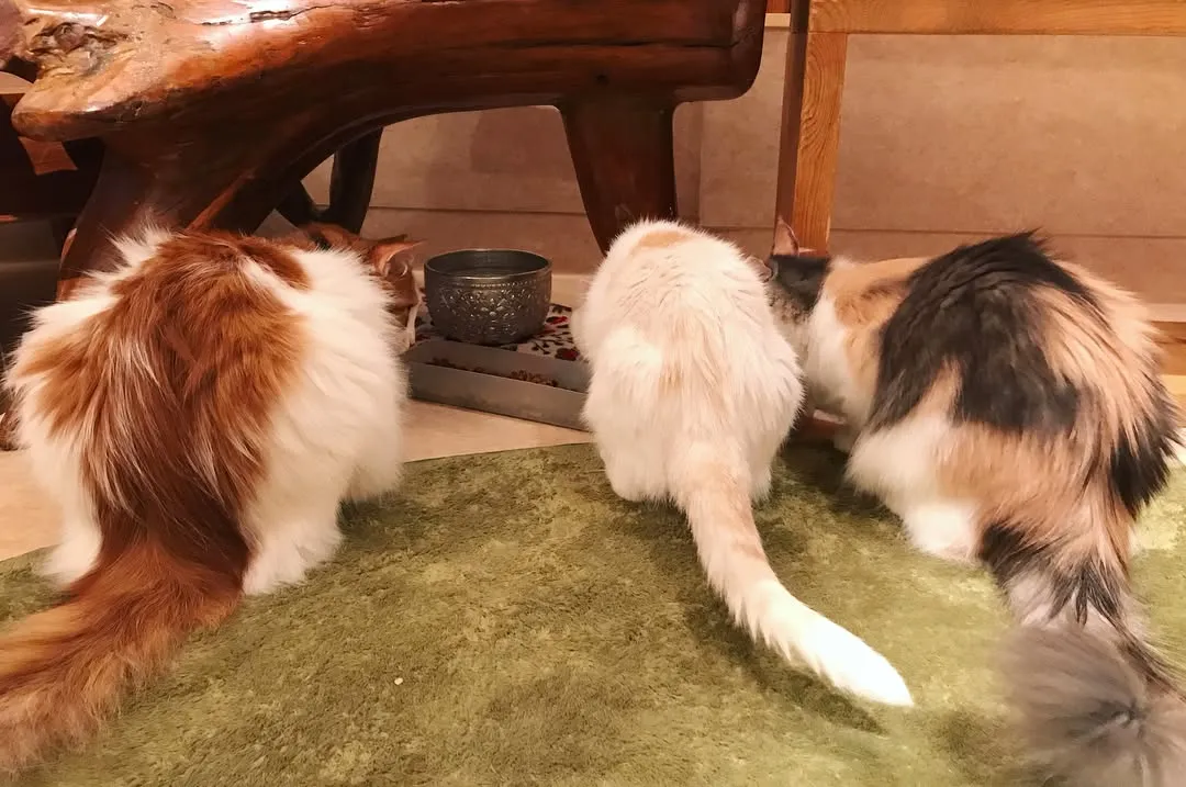 投稿の写真2